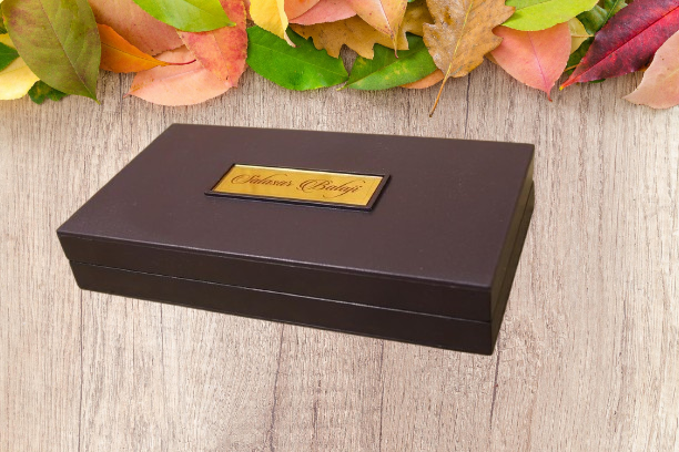 Lord SALASAR Balaji Pocket Temple