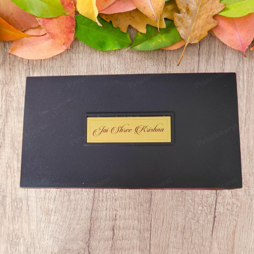 24K Gold Plated Shreenath Ji Pocket Temple