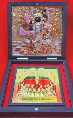 Yantram Shreenathji Pocket Temple