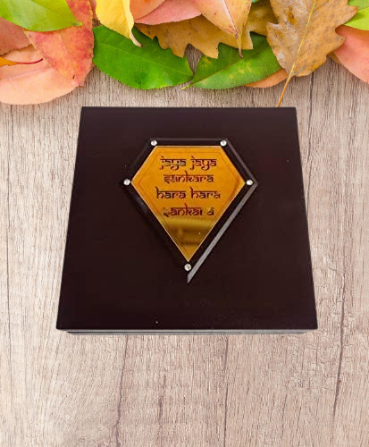 Kanchi Shankaracharya Pocket Temple