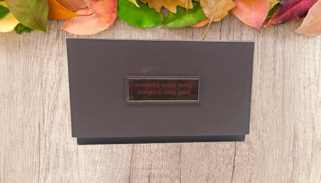 Maha Periyava Kanchi Sankaracharya Pocket temple