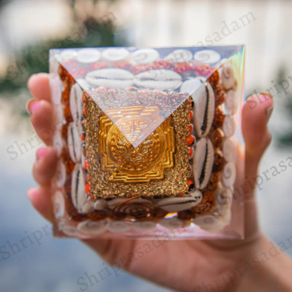 Shri Yantra Gomti Chakra Orgon Pyramid