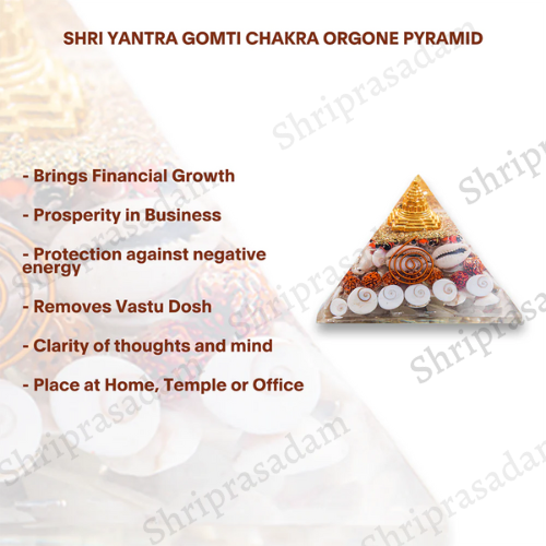 Shri Yantra Gomti Chakra Orgon Pyramid