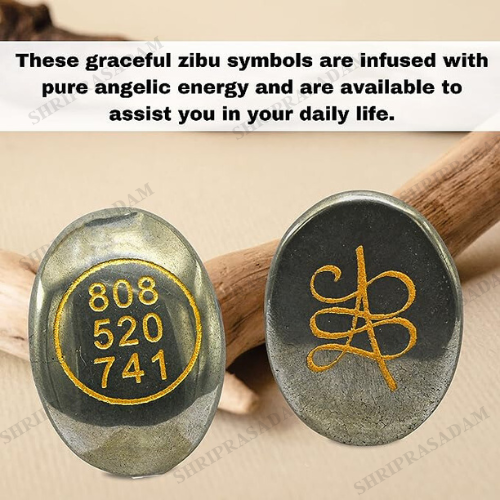 Pyrite Zibu Symbol Coin for Money